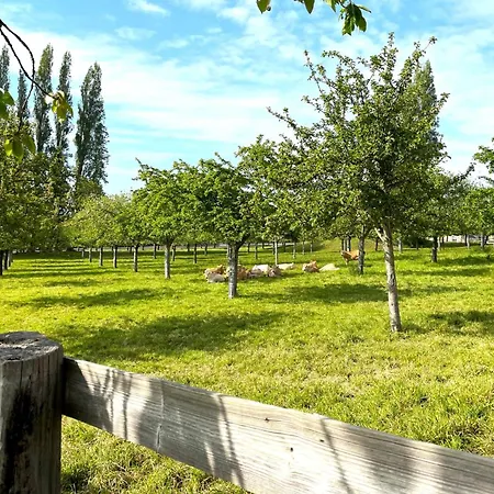 La Bergeronnette - Domaine D'apreval - Campagne *