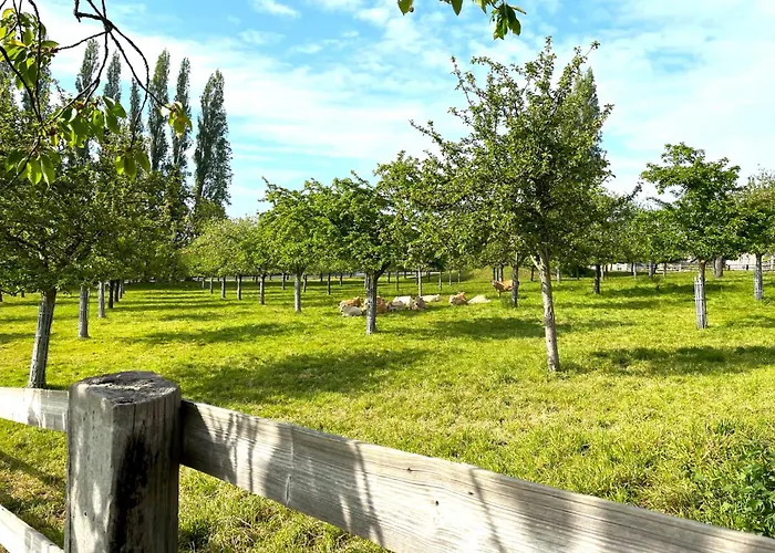 La Bergeronnette - Domaine D'apreval - Campagne *