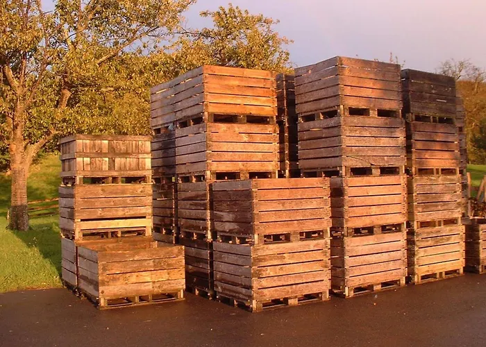 La Bergeronnette - Domaine D'apreval - Campagne 佩尼德派