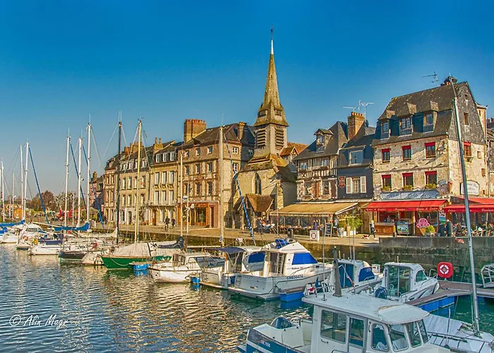 La Bergeronnette - Domaine D'apreval - Campagne